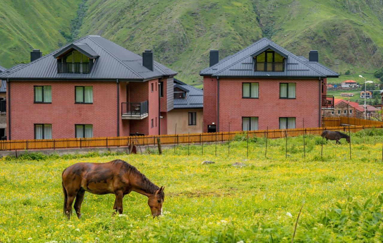 Devdaraki Apartments Kazbegi Dış mekan fotoğraf